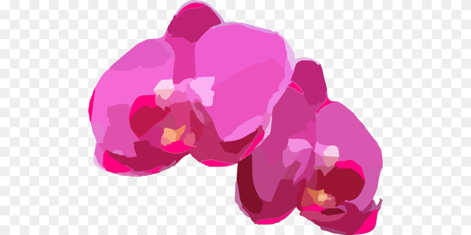 Pink Orchids Clip Art, Flower, Orchid, Plant, Adult Free Transparent Png