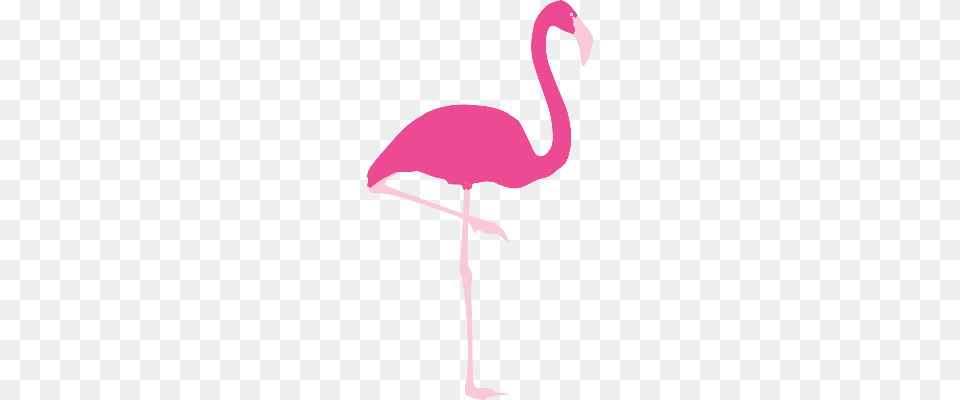 Pink Out Holler Classic Corporation Associates, Animal, Bird, Flamingo, Cross Png