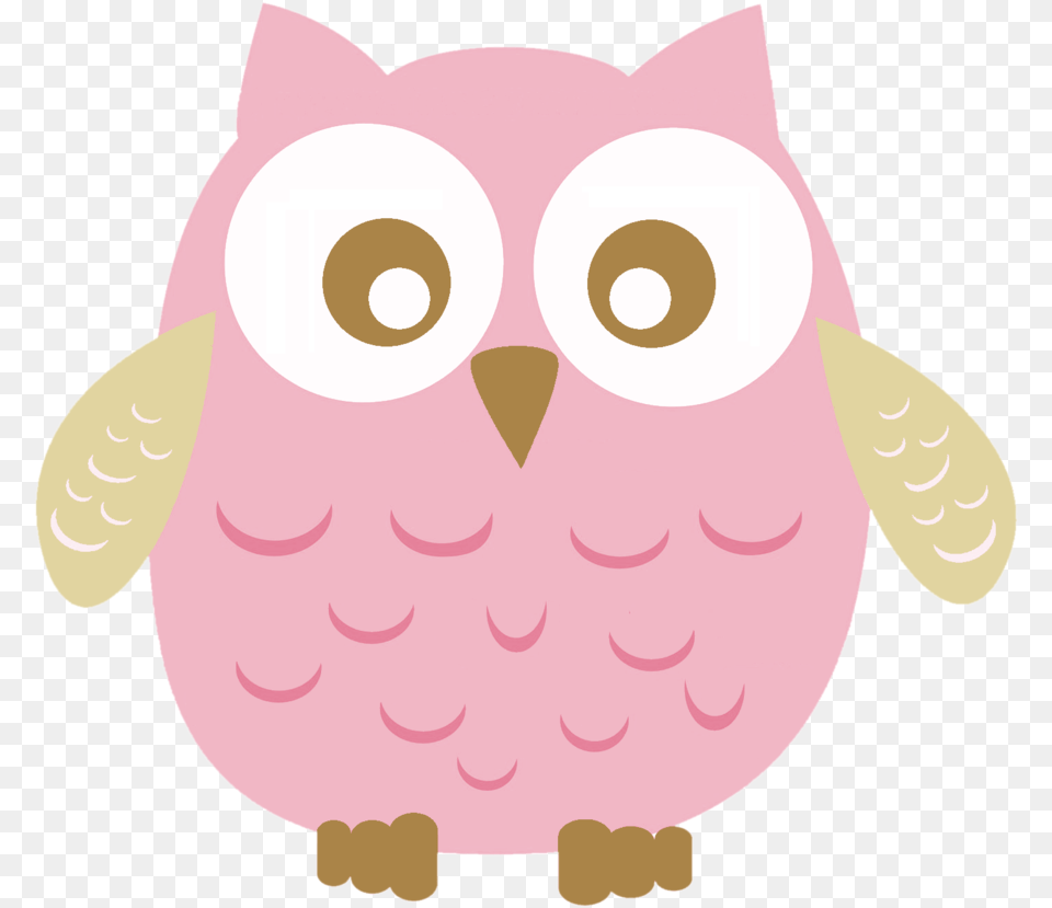 Pink Owl Corujinha Rosa, Baby, Person, Animal, Bird Free Png Download