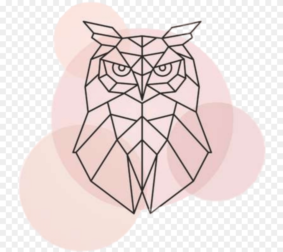 Pink Owl Geometric Owl Face, Art, Drawing, Ammunition, Grenade Png Image