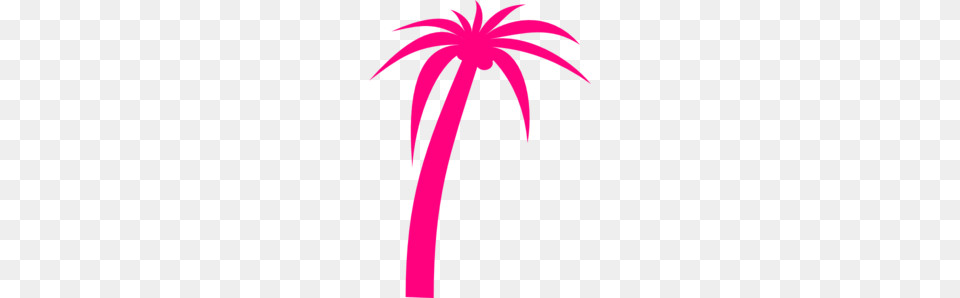 Pink Palm Clip Art, Palm Tree, Plant, Tree, Flower Png