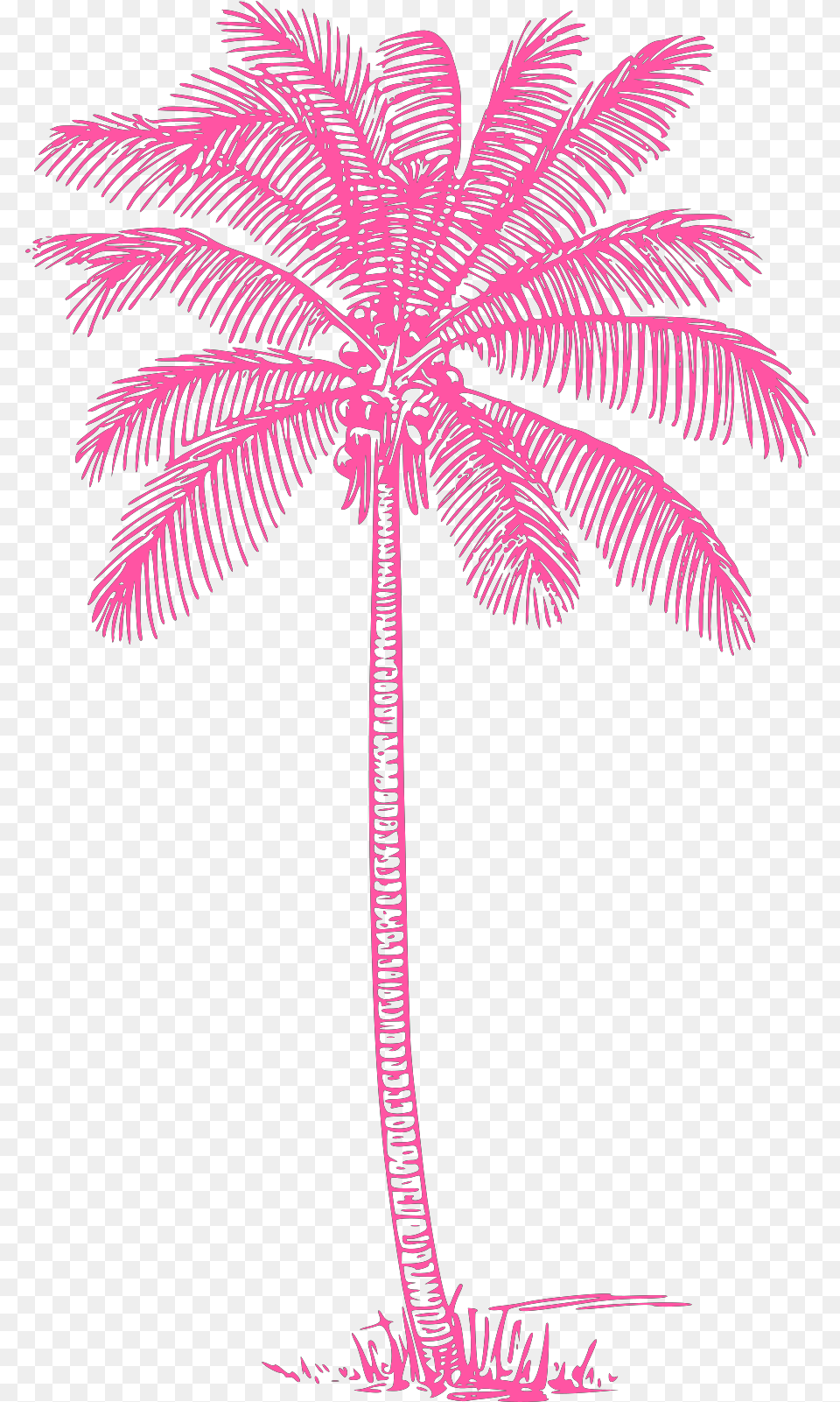 Pink Palm Tree Svg Vector Clip Art Svg Clipart Art Coconut Tree Design, Palm Tree, Plant Free Png Download