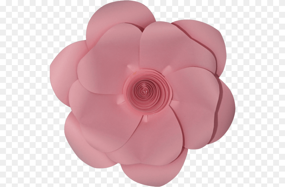 Pink Paper Flower Image With No Artificial Flower, Petal, Plant, Dahlia, Geranium Free Transparent Png