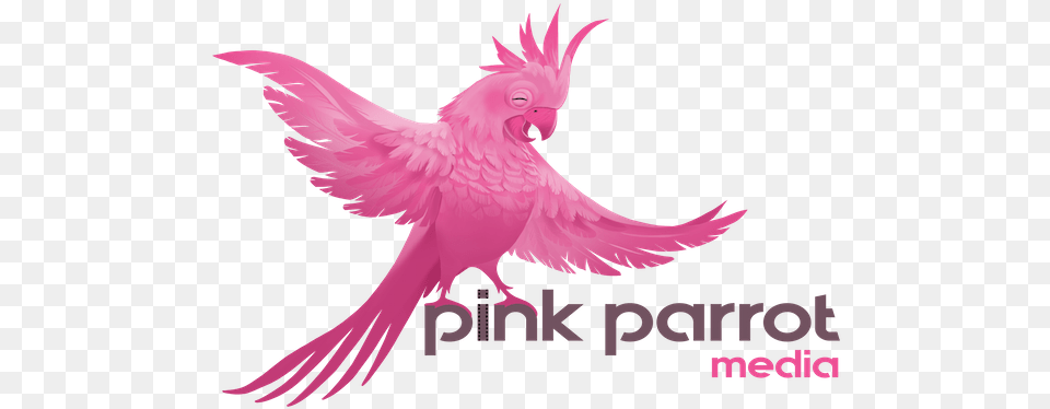 Pink Parrot Media Pink Parrot Logo, Animal, Bird Png