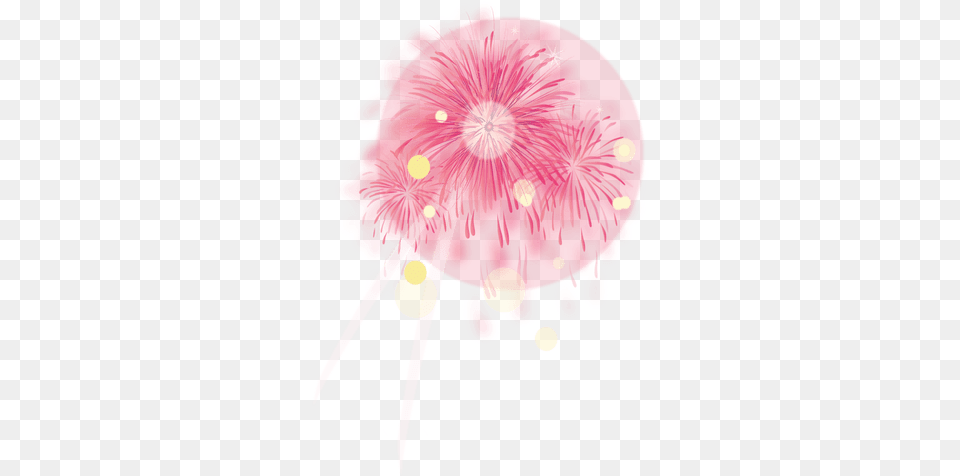 Pink Party Firework U0026 Svg Vector File Circle, Animal, Sea Life, Invertebrate, Jellyfish Png Image