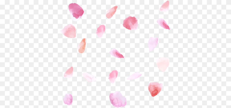 Pink Peach Rose Petals Watercolor Fabric By Peacefuldreams Watercolor Rose Petals, Flower, Petal, Plant, Person Png Image