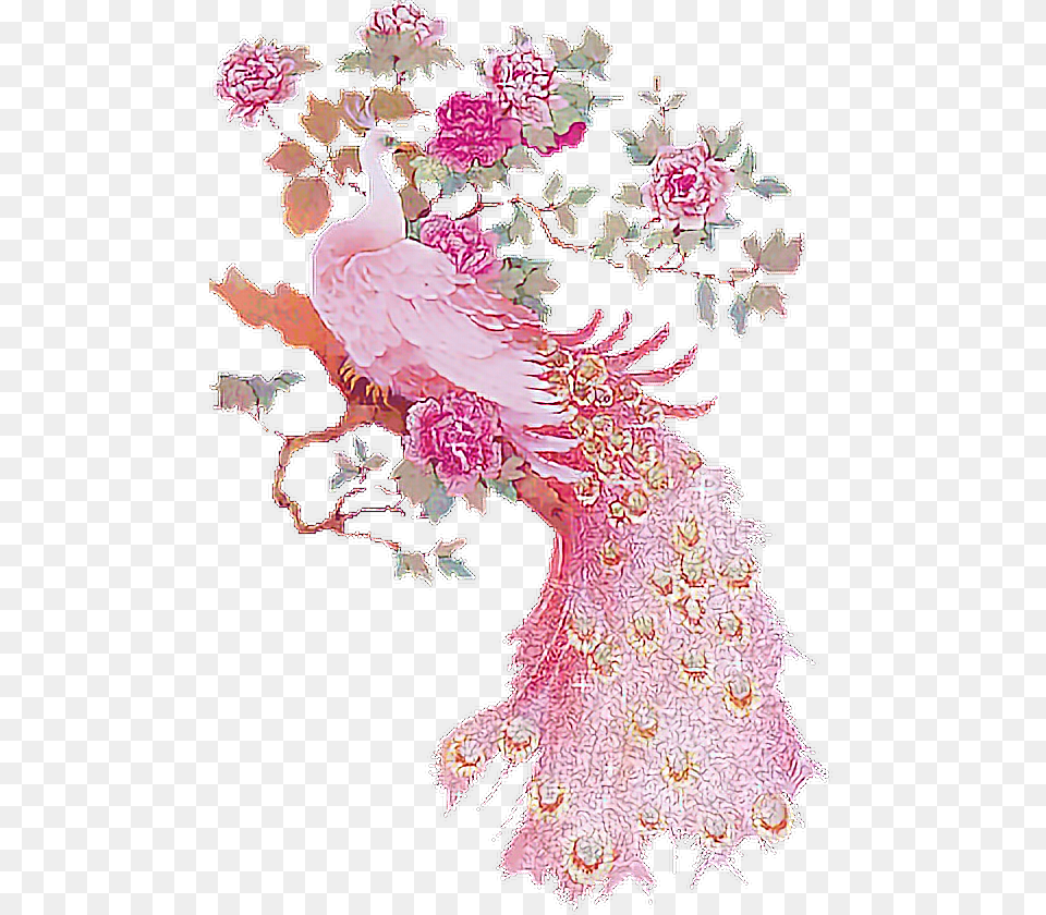 Pink Peacock Art, Pattern, Plant, Floral Design, Graphics Free Png