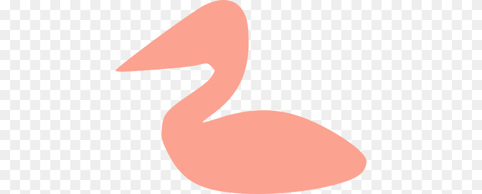 Pink Pelican, Animal, Beak, Bird, Flamingo Png Image