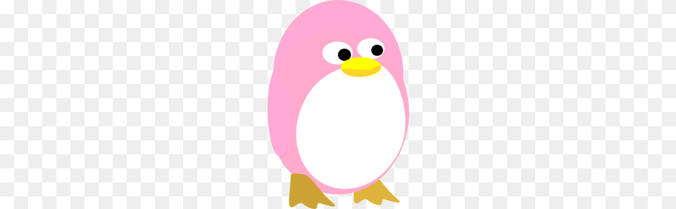 Pink Penguin Princess Clip Art, Animal, Bird Png Image