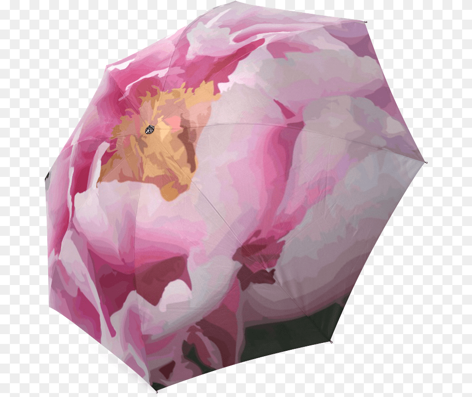 Pink Peony, Canopy, Flower, Plant, Umbrella Png
