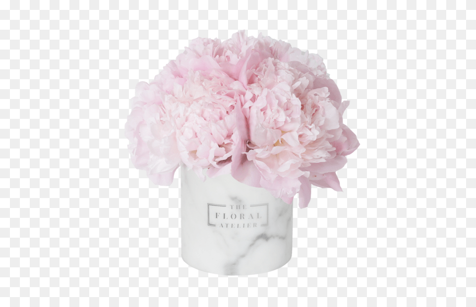 Pink Peony Luxe Marble Vase Vase Flower Pink, Plant, Carnation, Flower Arrangement, Flower Bouquet Free Transparent Png
