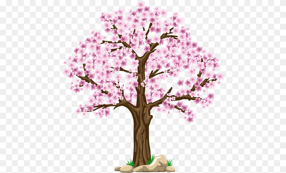 Pink Picture Cherry Blossom Tree Clipart, Flower, Plant, Cherry Blossom Free Transparent Png