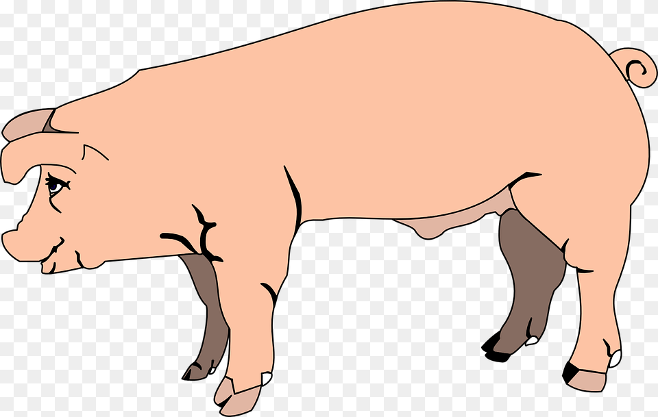 Pink Pig View Barn Farm Side Animal Hog Clipart, Mammal, Boar, Wildlife, Head Free Transparent Png