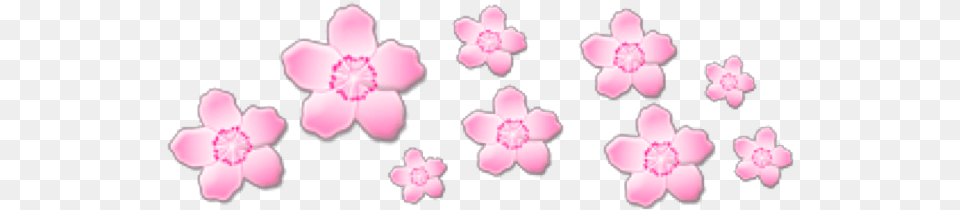 Pink Pinkflowers Flowers Crown Cute Sticker Transparent Blue Aesthetic Stickers, Flower, Petal, Plant, Anemone Free Png