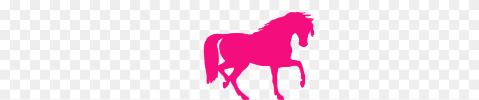 Pink Pony Clipart, Animal, Colt Horse, Horse, Mammal Png