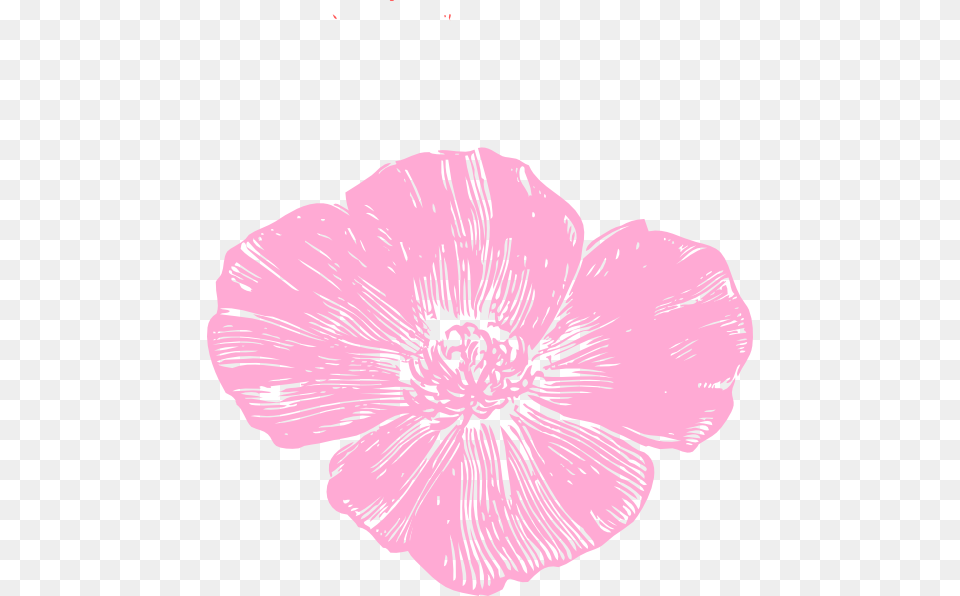 Pink Poppy Clip Art Pink Poppy Flower Clipart, Anemone, Petal, Plant, Hibiscus Png