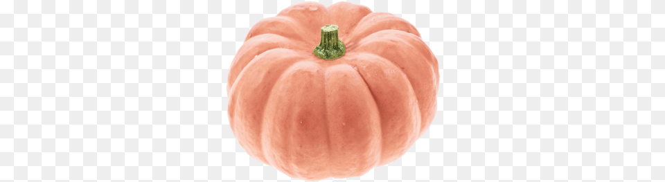 Pink Pumpkins Transparent Clipart Pumpkin, Food, Plant, Produce, Vegetable Png