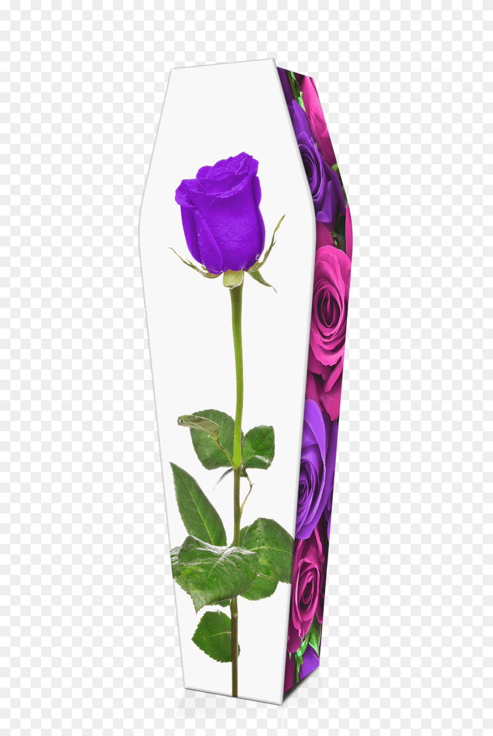 Pink Purple Roses Custom Coffin Design Expression Coffins, Flower, Plant, Rose, Flower Arrangement Free Png Download