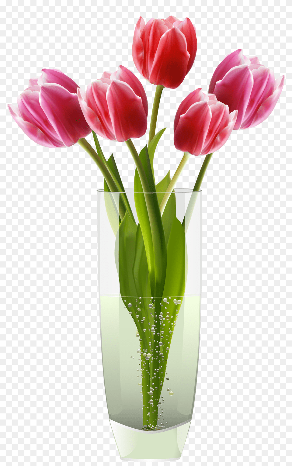 Pink Red Tulips Vase, Flower, Flower Arrangement, Jar, Plant Png Image