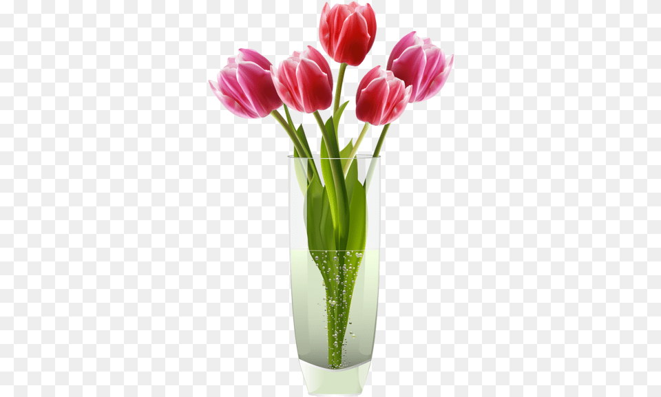 Pink Red Tulips Vase Clipart Vase With Flowers, Flower, Flower Arrangement, Jar, Plant Free Png