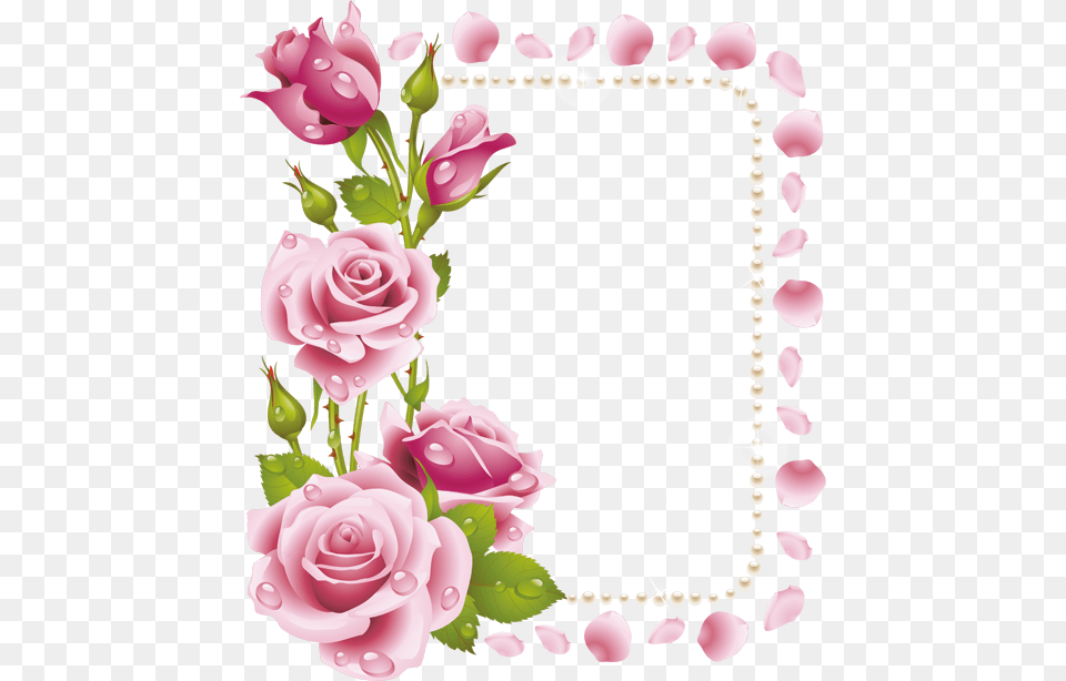 Pink Rose, Plant, Mail, Greeting Card, Envelope Free Transparent Png