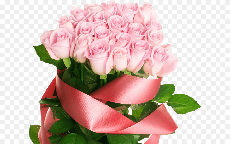 Pink Rose Bouquet Qua Tang Ngay 8, Flower, Flower Arrangement, Flower Bouquet, Plant Png