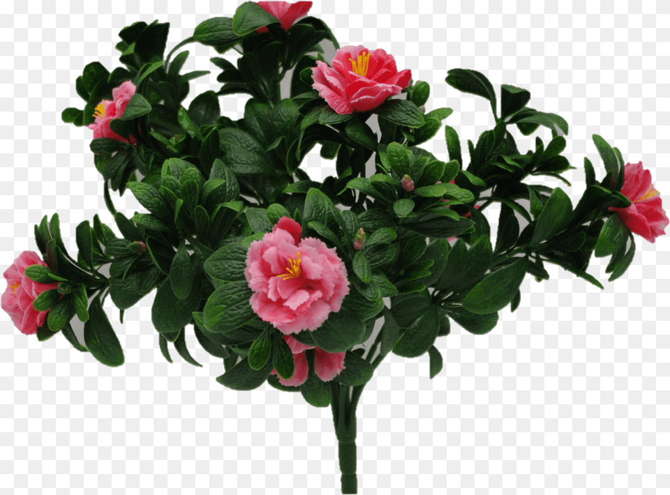 Pink Rose Bunch Uv 45cm 2 Garden Roses, Flower, Flower Arrangement, Flower Bouquet, Geranium Png Image