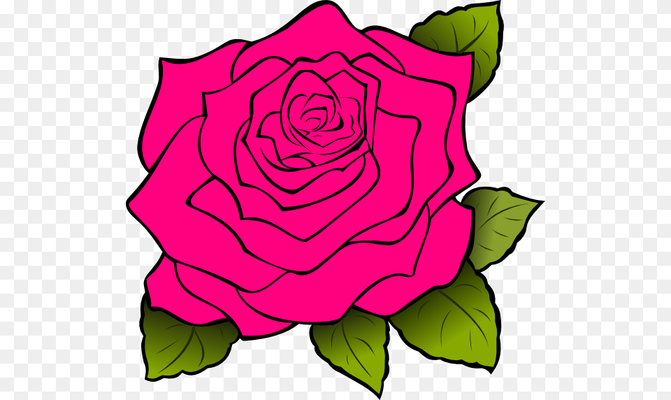 Pink Rose Clip Art Big Rose Clipart, Flower, Plant Free Png Download