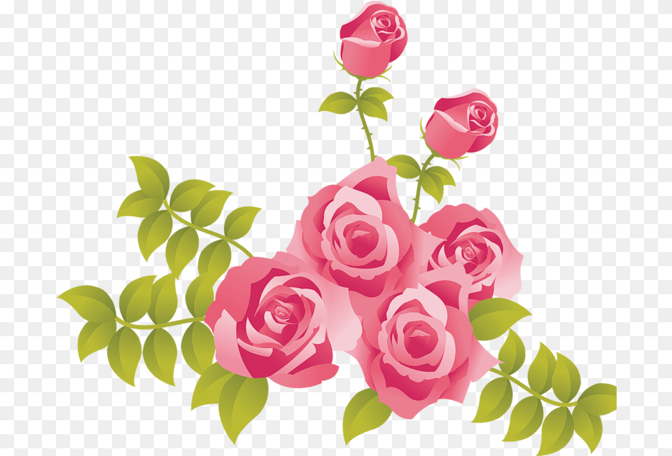 Pink Rose Clip Art Clipartlook Pink Roses Clip Art, Plant, Flower, Graphics, Pattern Png