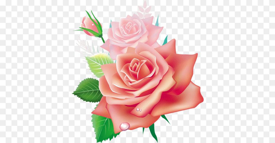 Pink Rose Clip Art Image Pink Rose, Flower, Flower Arrangement, Flower Bouquet, Plant Free Transparent Png