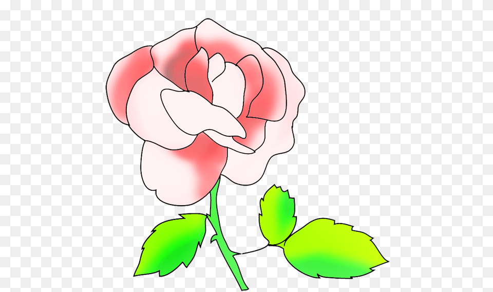 Pink Rose Clipart, Flower, Plant, Baby, Person Free Png