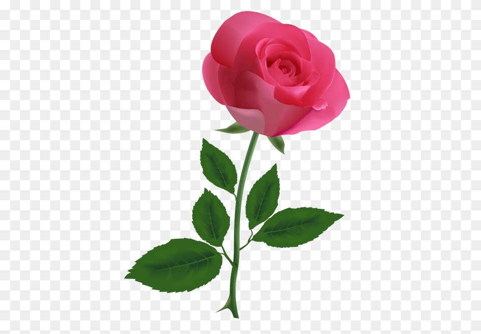 Pink Rose Clipart, Flower, Plant Free Png Download