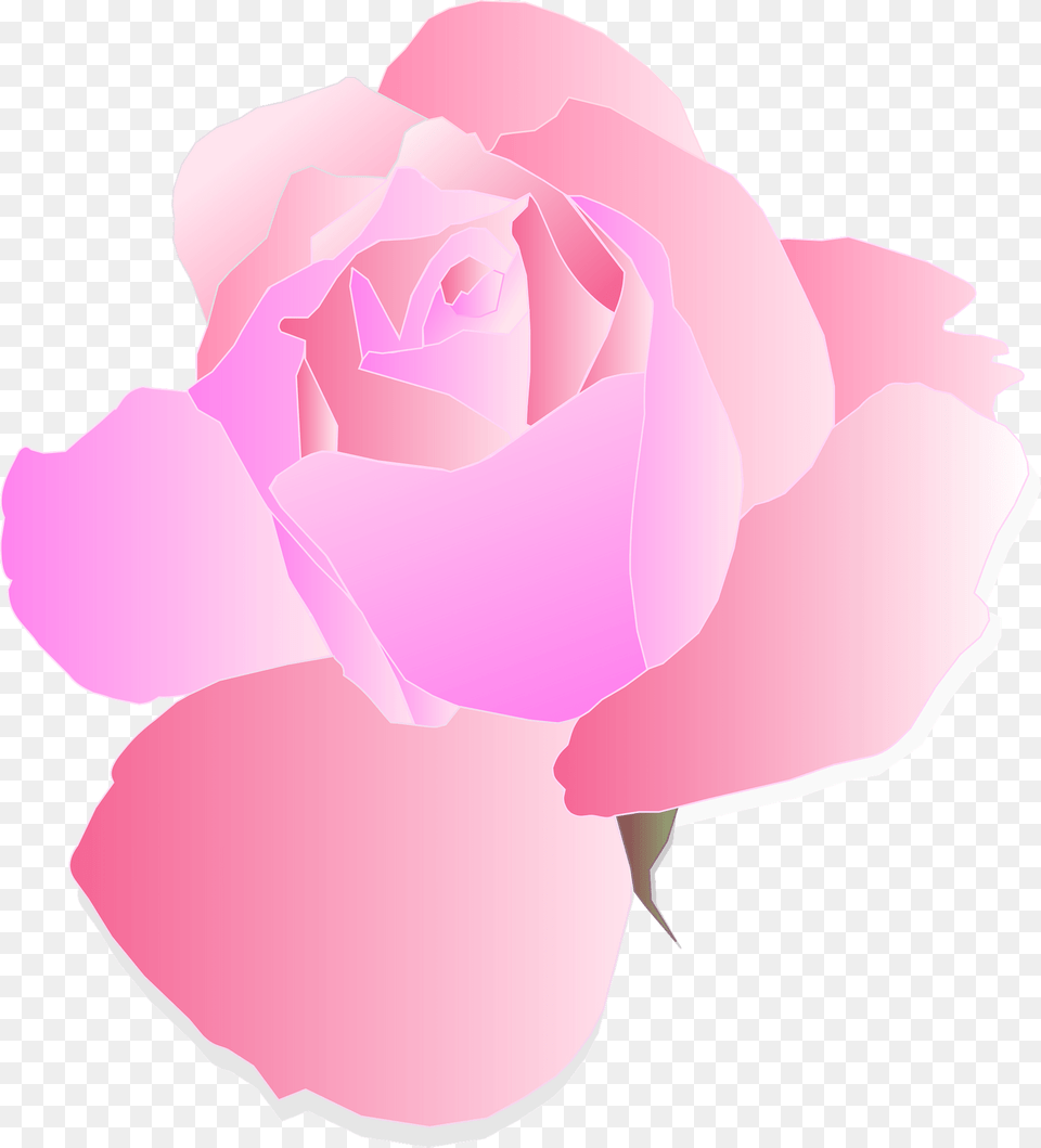 Pink Rose Clipart, Flower, Petal, Plant Free Png Download