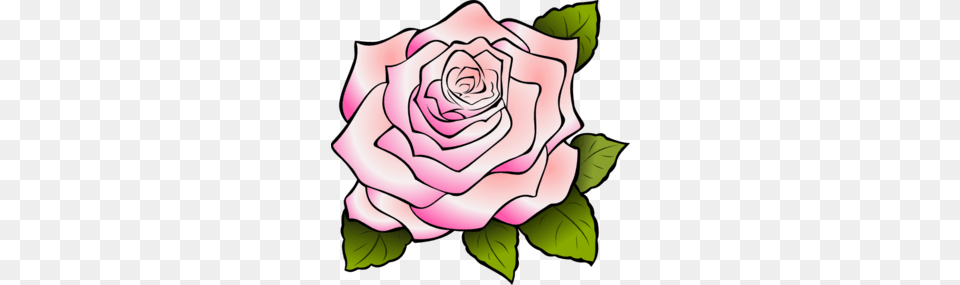 Pink Rose Clipart Border, Flower, Plant Png Image