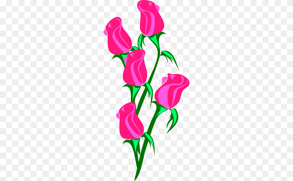 Pink Rose Clipart Single, Art, Plant, Flower, Graphics Free Png Download