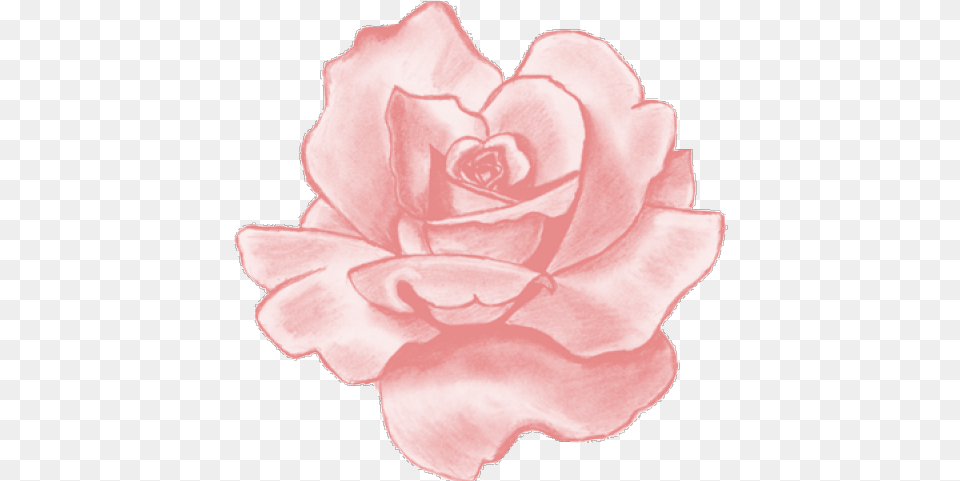 Pink Rose Clipart Tumblr Pink Flower Aesthetic Stickers, Petal, Plant, Carnation Free Png Download