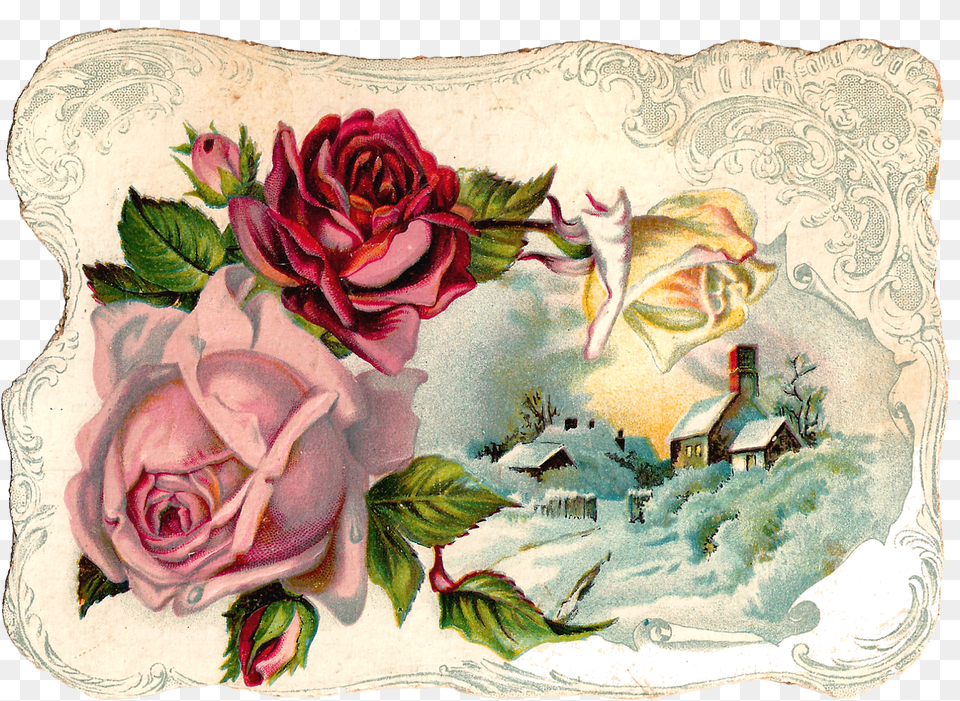 Pink Rose Corner Design Vintage Flower, Art, Painting, Plant, Floral Design Free Png Download