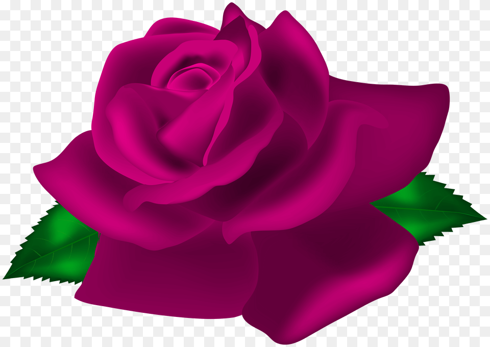 Pink Rose Deco Clip Art, Flower, Plant Free Transparent Png