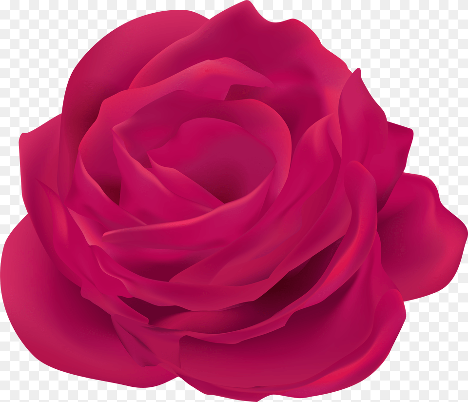 Pink Rose Flower Clip Art Png