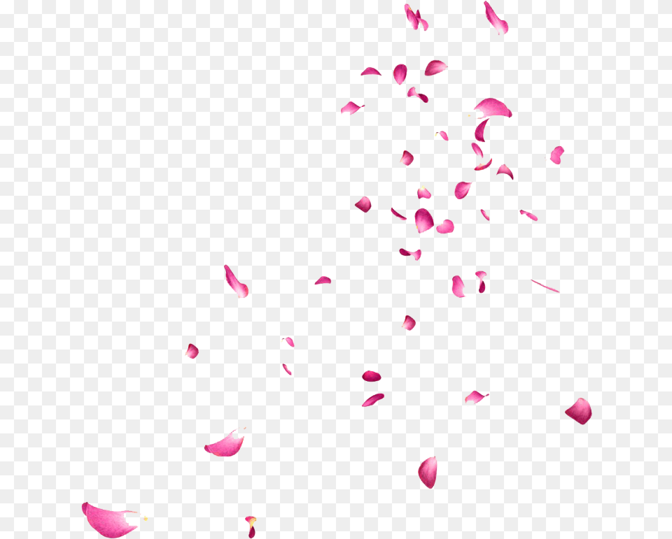 Pink Rose Flower Petals Falling Petals Gif Transparent, Paper, Petal, Plant, Confetti Free Png Download