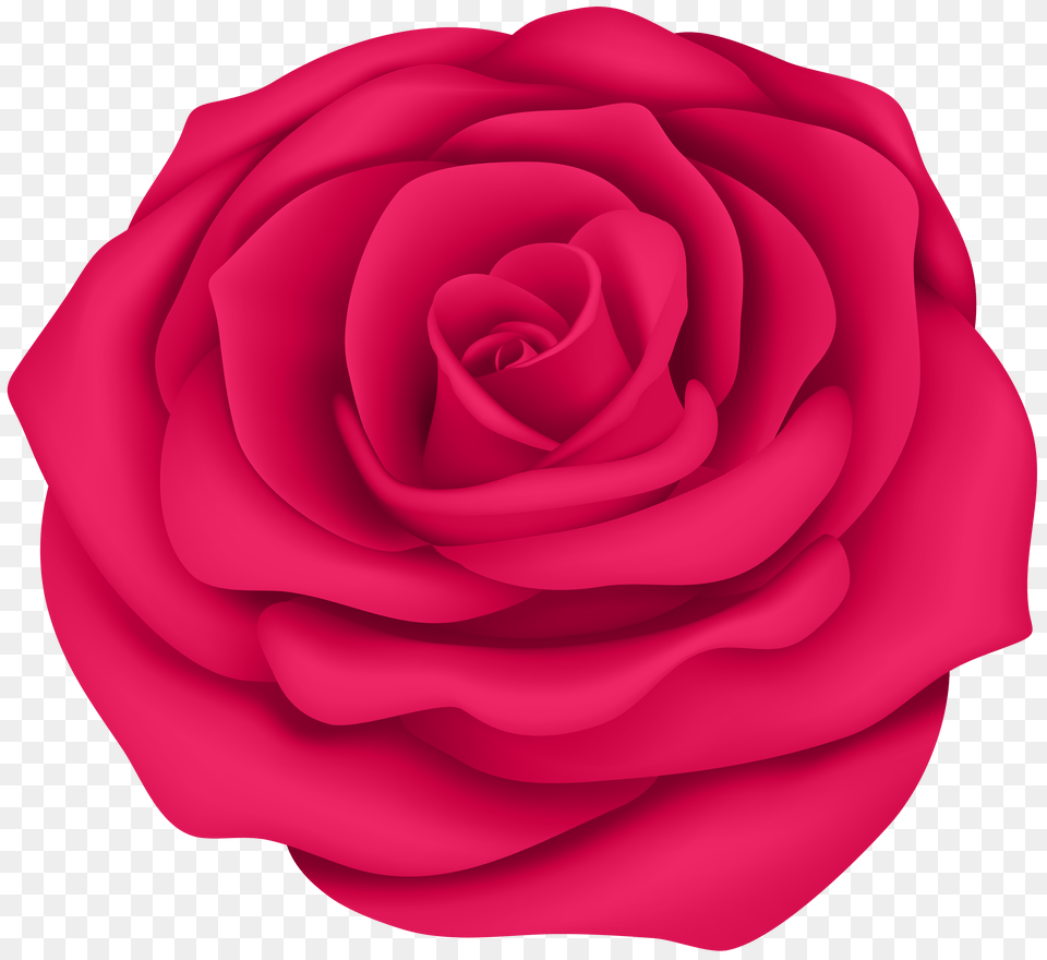 Pink Rose Flower Clip Art Gallery, Device Free Transparent Png