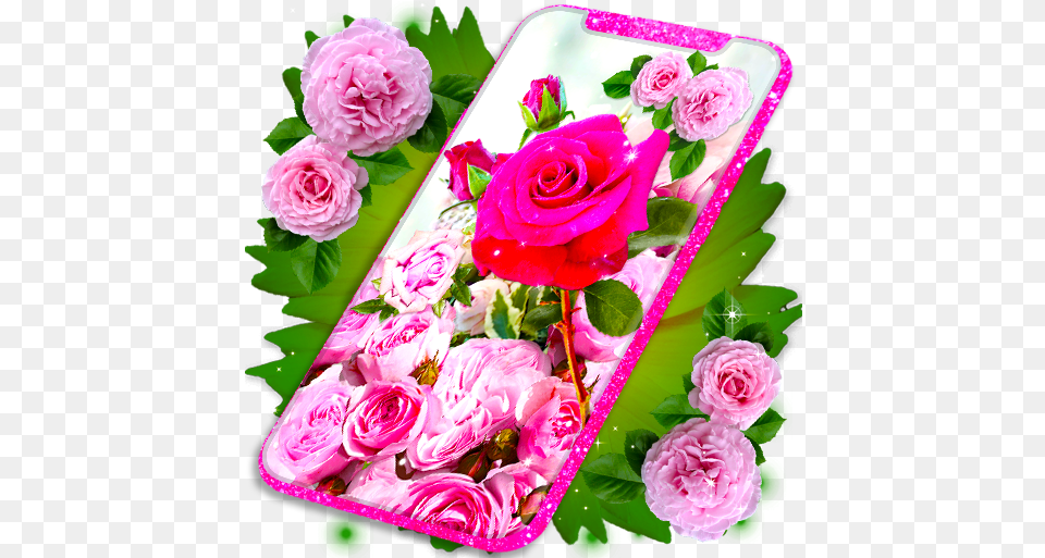 Pink Rose Live Wallpaper 3d Roses 4k Wallpapers Rose Hd, Flower, Flower Arrangement, Flower Bouquet, Plant Free Transparent Png