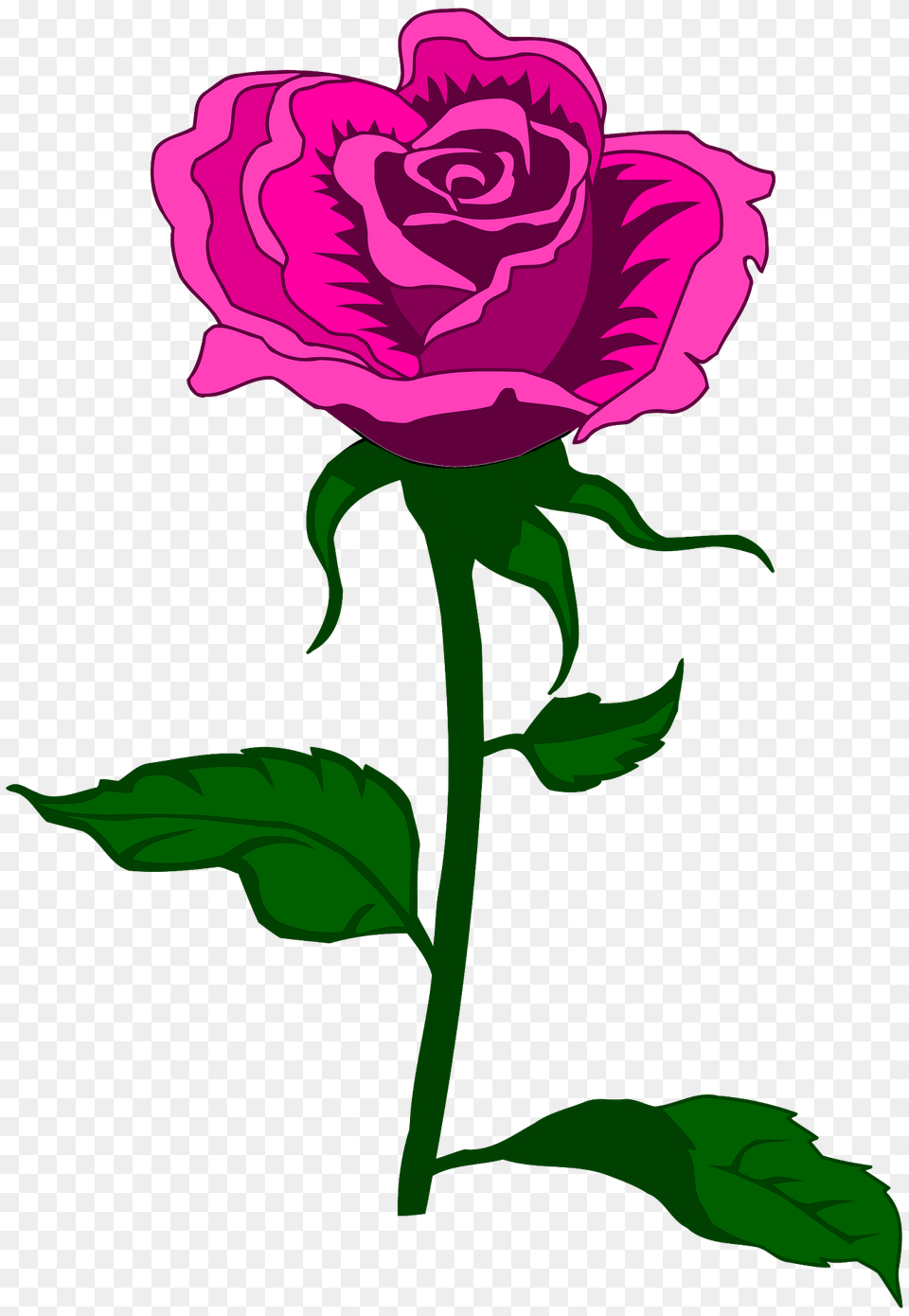 Pink Rose On The Stem Clipart, Flower, Plant Png Image