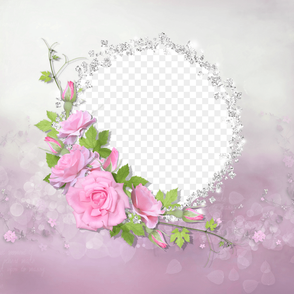 Pink Rose Transparent, Flower, Plant, Art, Floral Design Png