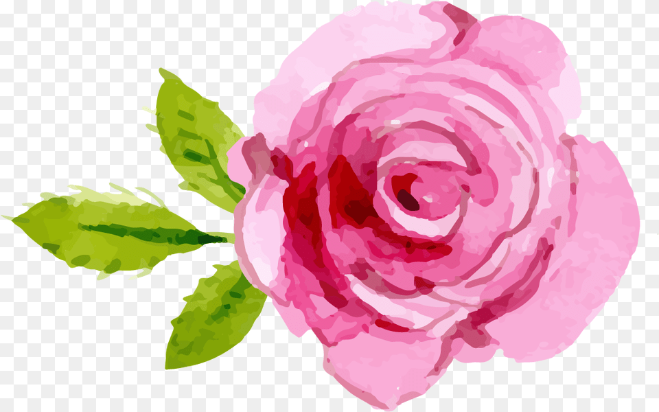 Pink Rose Transparent Background Clip Transparent Background Pink Rose Clipart, Flower, Plant, Petal Free Png