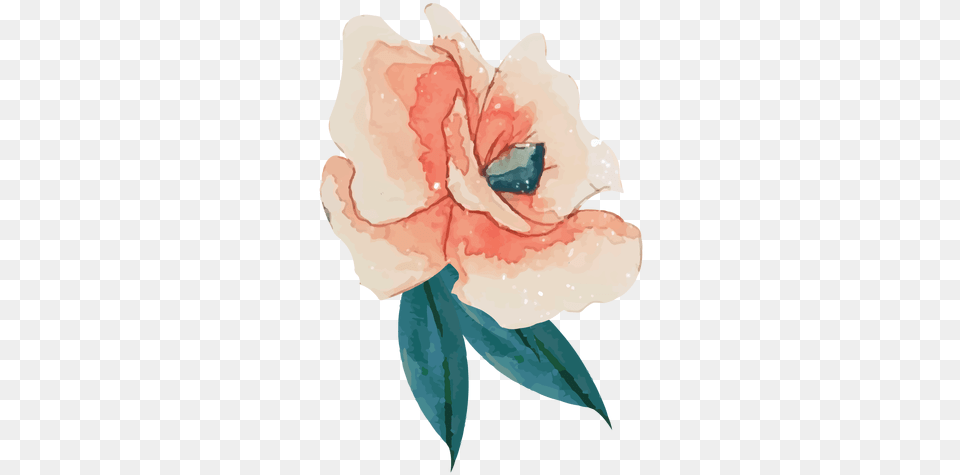 Pink Rose Watercolor Imagen De Acuarela Rosa, Flower, Plant, Petal, Baby Png Image