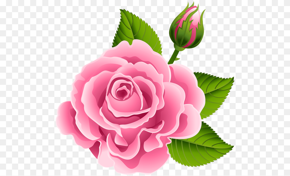 Pink Rose With Rose Bud Clip Art Image Pink Rose Bud, Flower, Plant Free Png Download