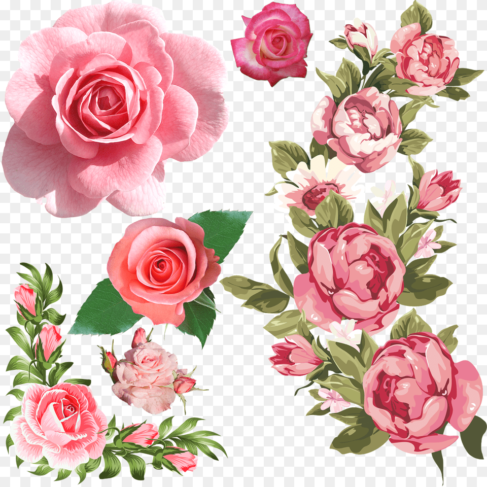 Pink Roses Border Pink Flower Clipart, Plant, Rose, Petal, Flower Arrangement Png Image