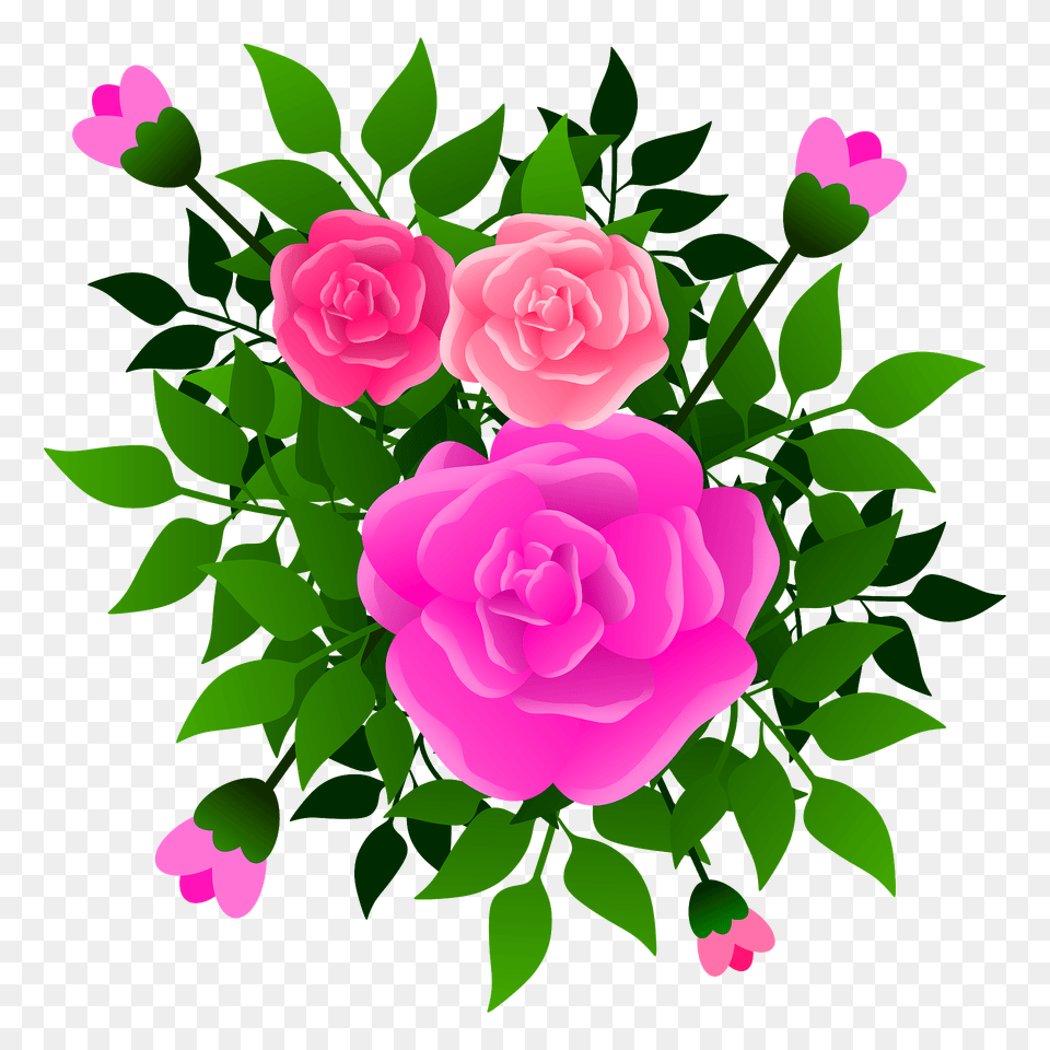 Pink Roses Bouquet Clipart, Flower, Plant, Rose, Art Free Png Download