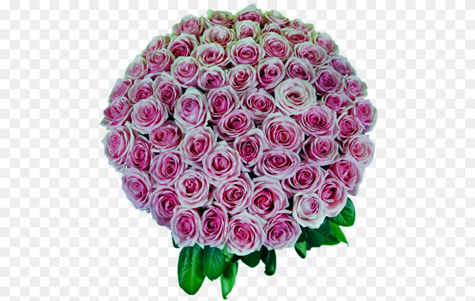 Pink Roses Bouquet Flower Bouquet, Rose, Plant, Flower Arrangement, Flower Bouquet Free Png